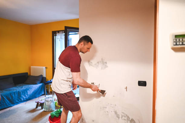 Mold Removal and Inspection in Island Lake, IL